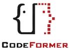 CodeFormer下载光环加速版