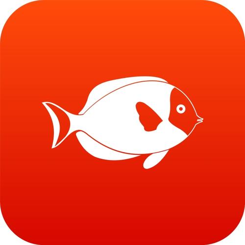 小鱼赚钱安卓版