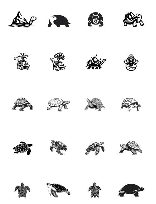 世界上最大的乌龟白色版