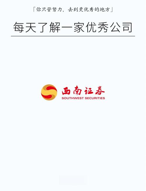 西南证券金点子手