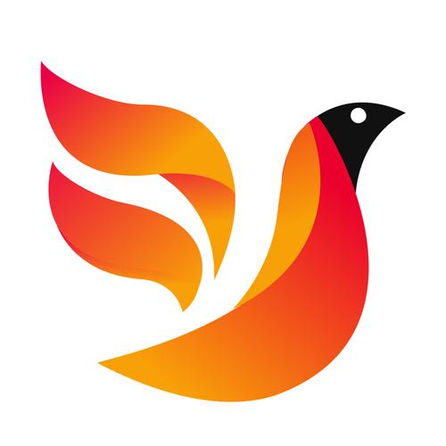 火鸟快看转发赚钱