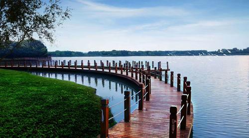 周末趣味视频(36):以后OOXX你敢不带套?