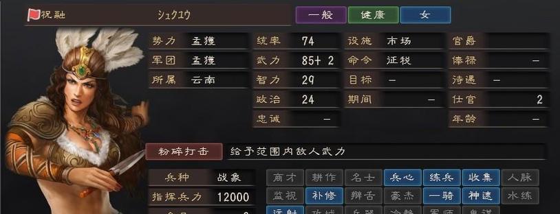 三国志12威力加强版 战法