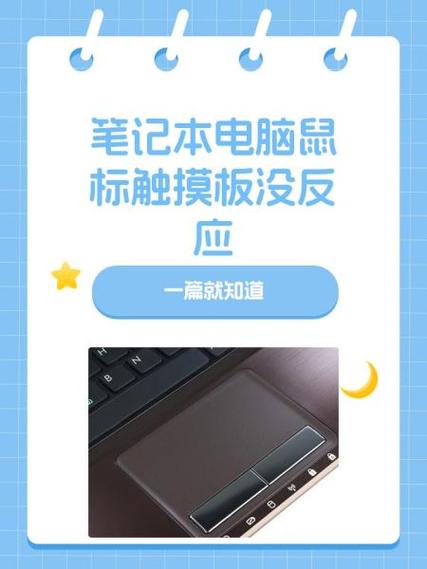 苹果电脑有线鼠标怎么没有反应