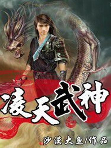 凌天武神