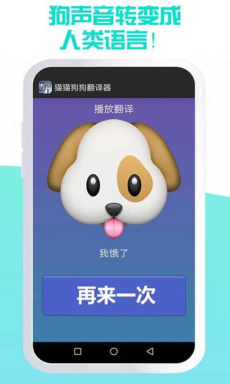 我的小猫APP