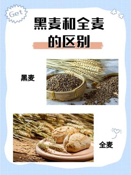 黑麦和全麦的区别