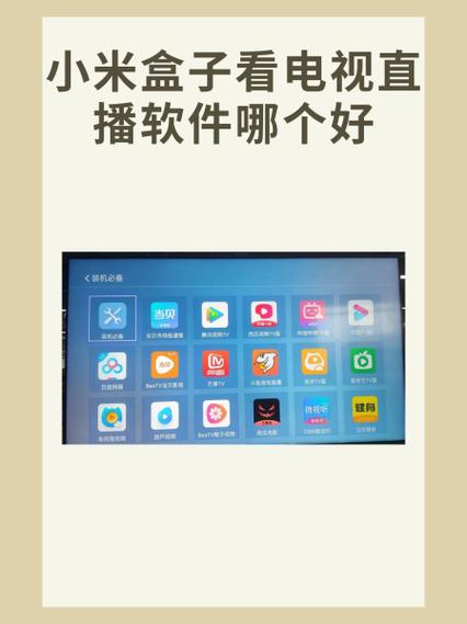 盒子直播app破解版