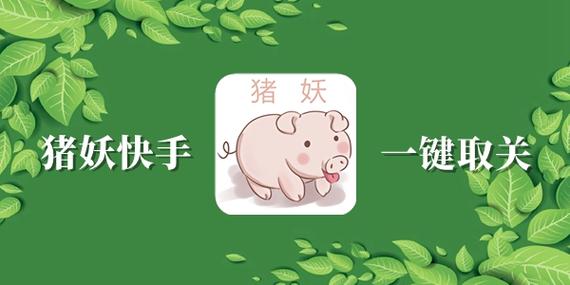 猪妖快手取关软件的好处