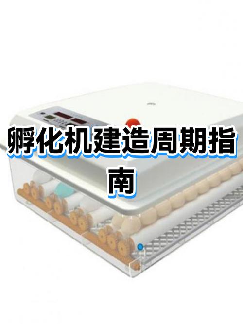 孵化是怎么建造