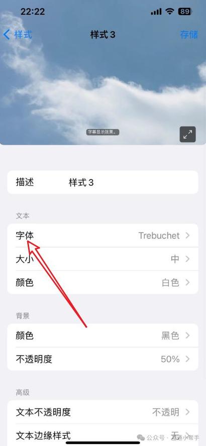 苹果手机怎样改变字体样式