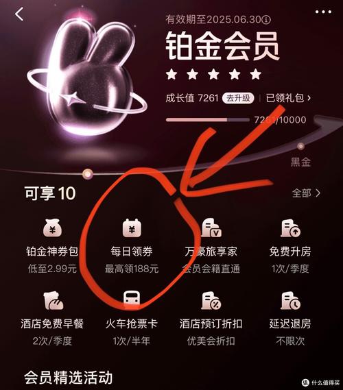 美团铂金会员怎么看