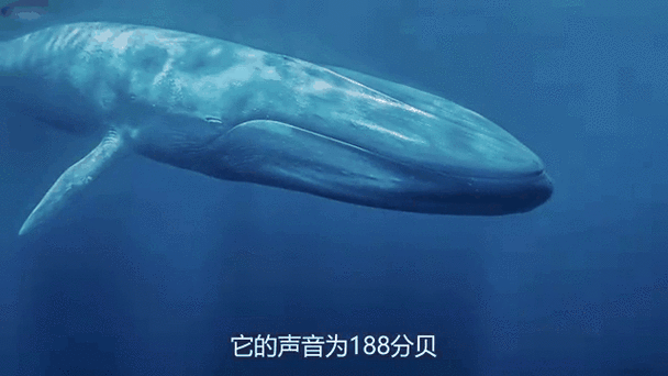 下载语音朗读软件