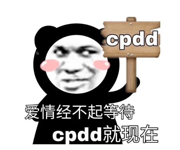 cpdd下载安装