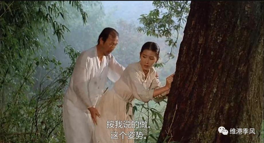 桑叶电影高清观看