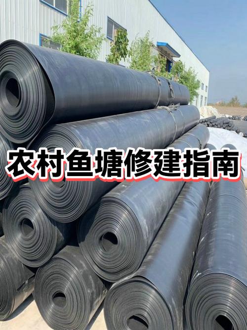 鱼塘最好网鱼方法