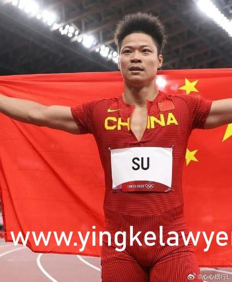 漂亮邻居电视剧完整版在线看免费