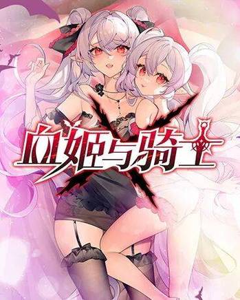 血姬与骑士小说在线阅读