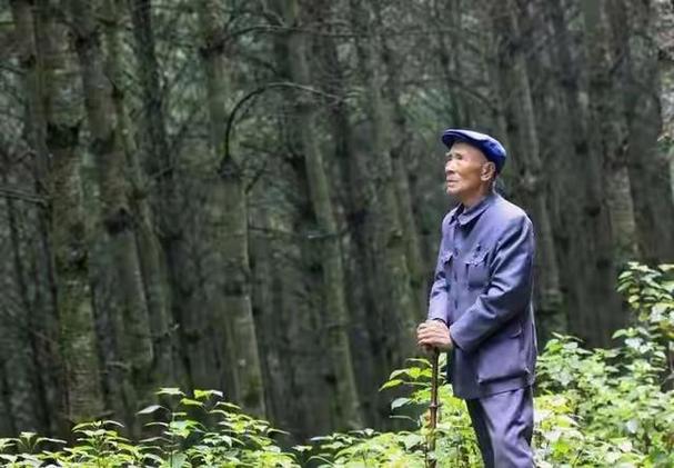 青山不老中什么的植树老人