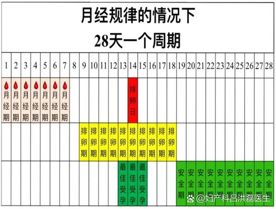 排卵期是安全期还是受孕期