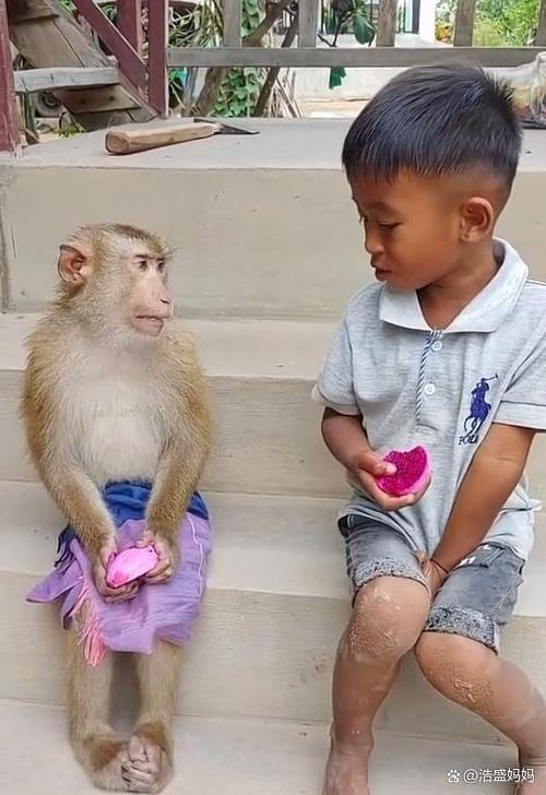 读了小猴子后你懂得了什么