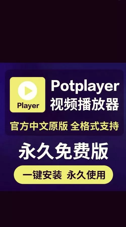 纯净版播放器有哪些