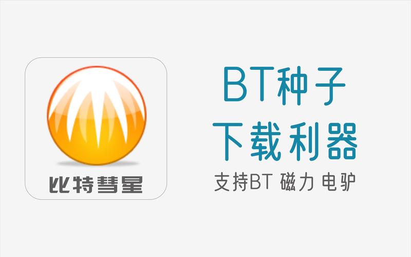 种子下载